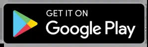 google  store